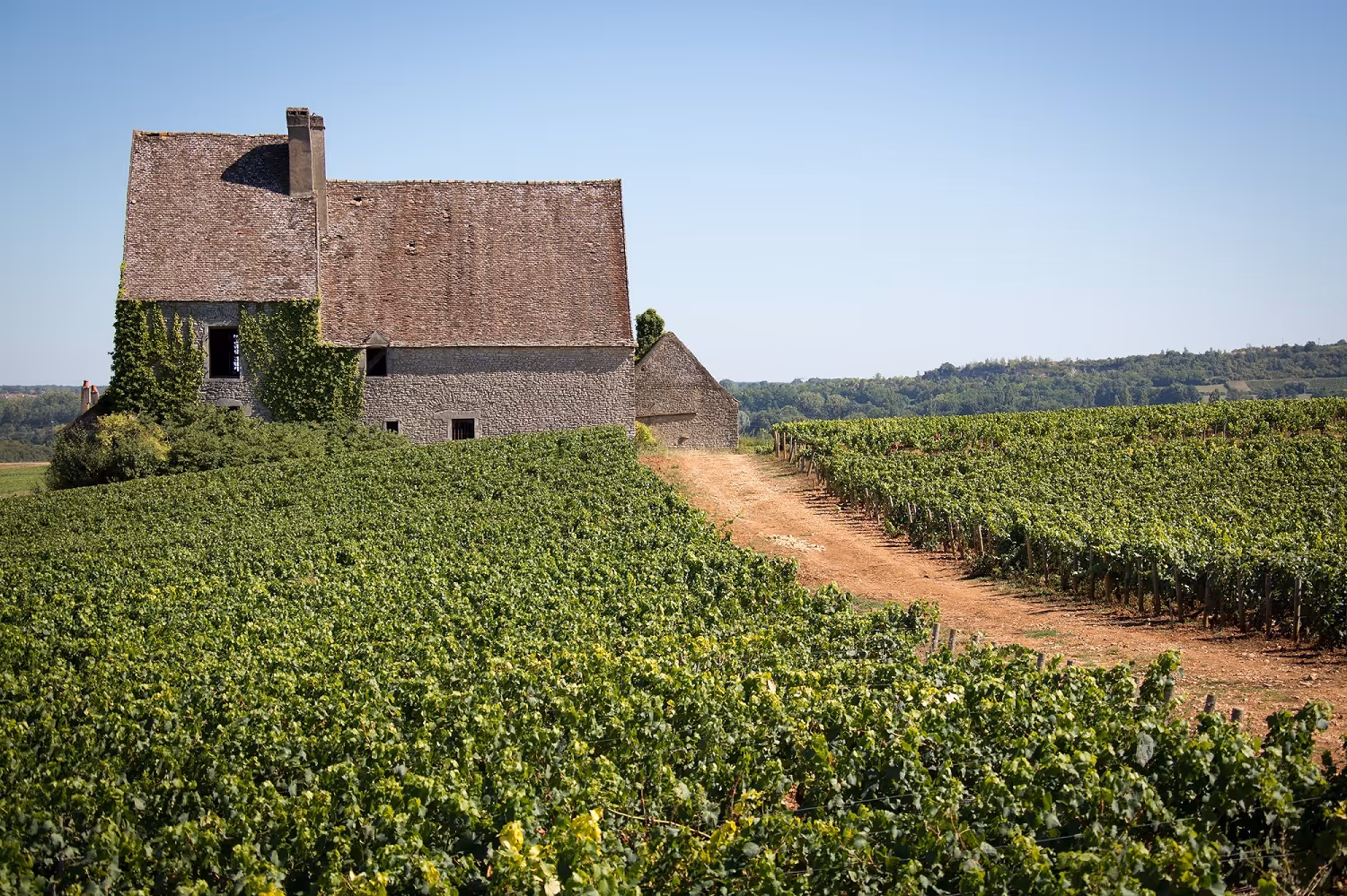 Ramonet