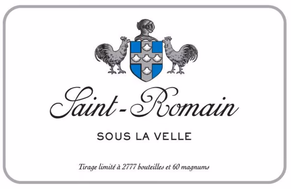 Saint-Romain Sous la Velle 2021