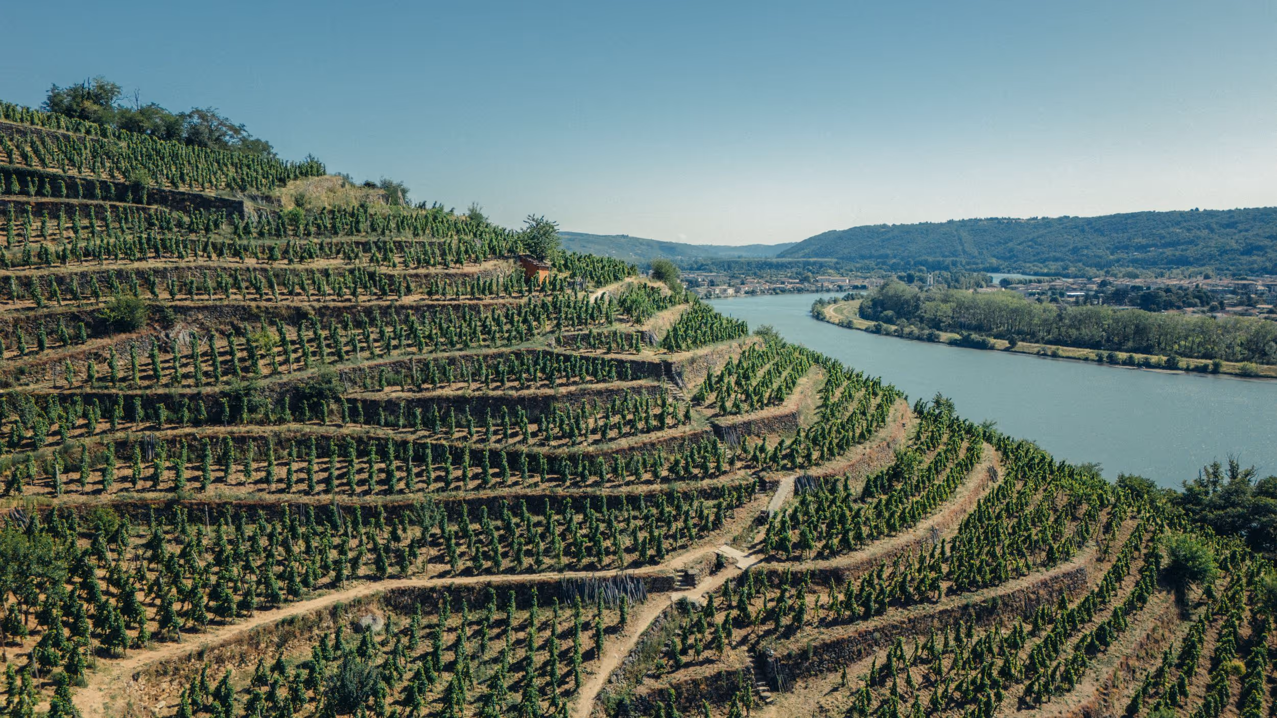 Château-Grillet - a rare, noble and timeless wine