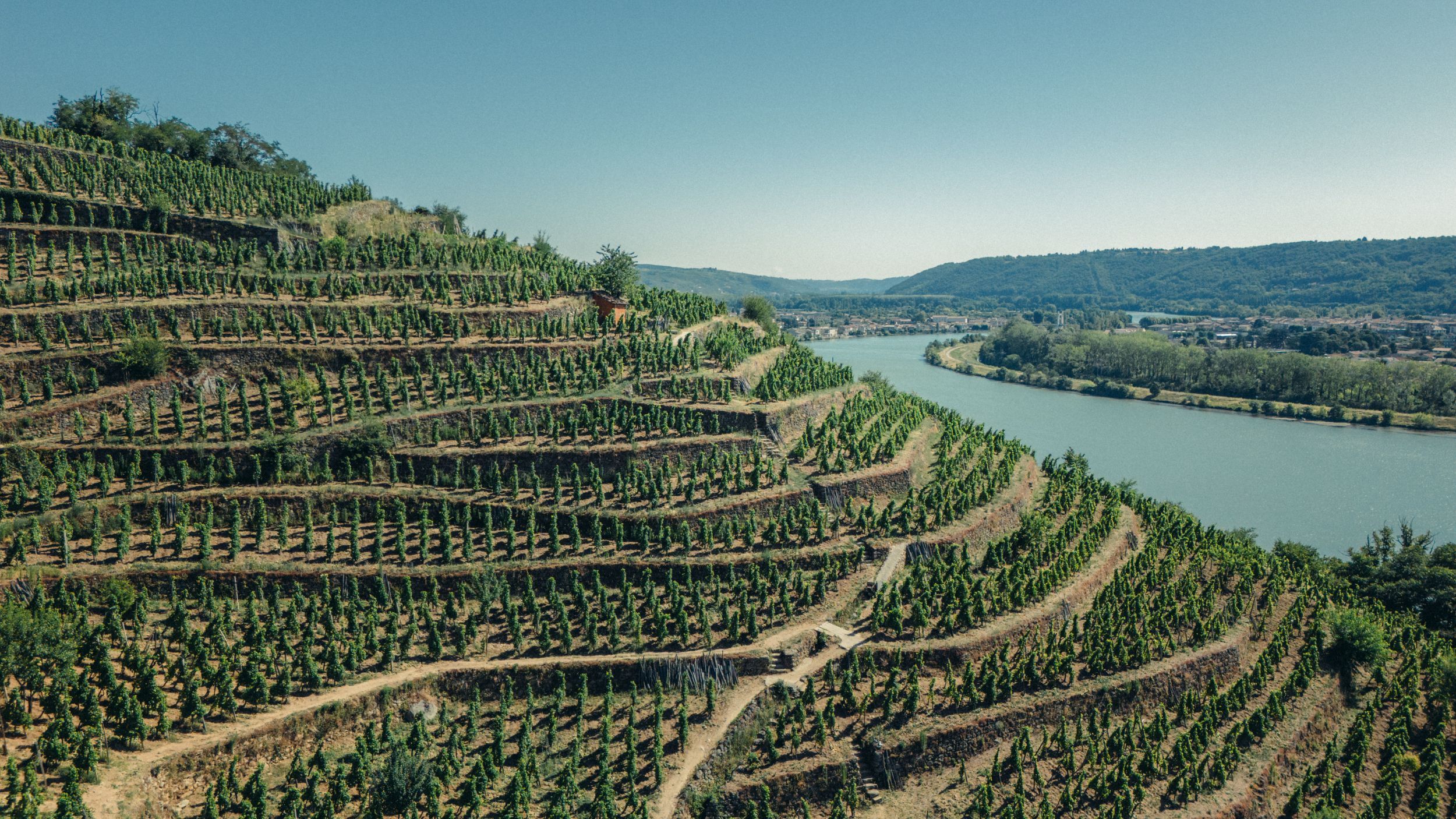 Château-Grillet - a rare, noble and timeless wine