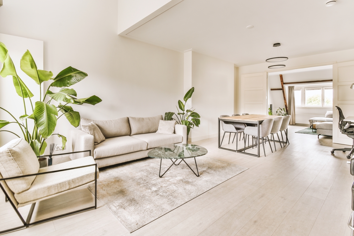 salon d'un appartement meublé