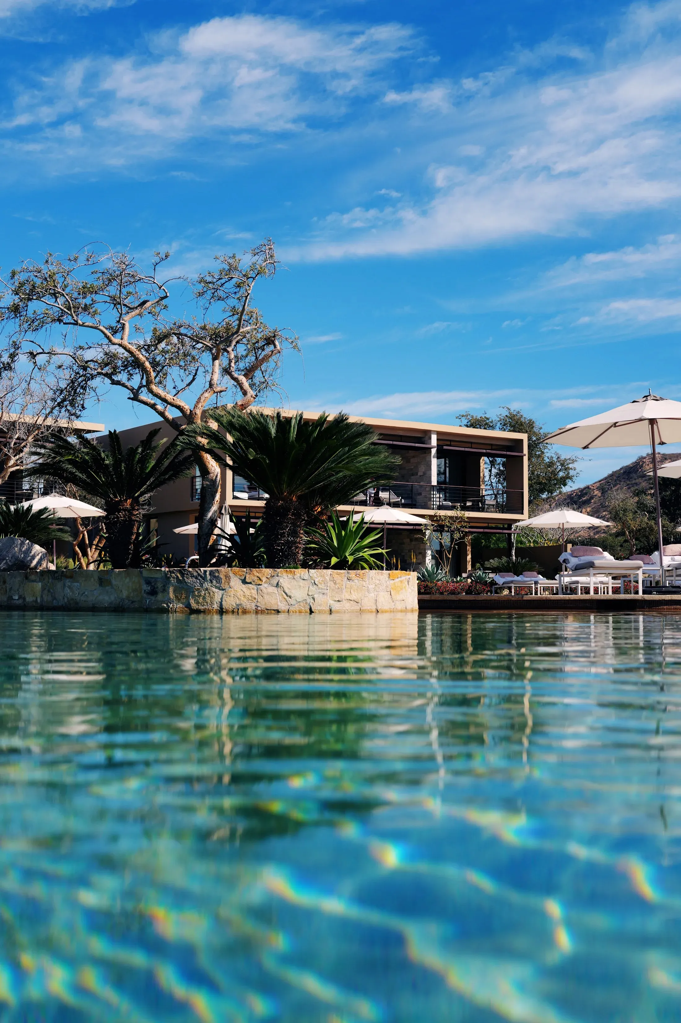 Resort building and palms seen across the pool at Montage Los Cabos