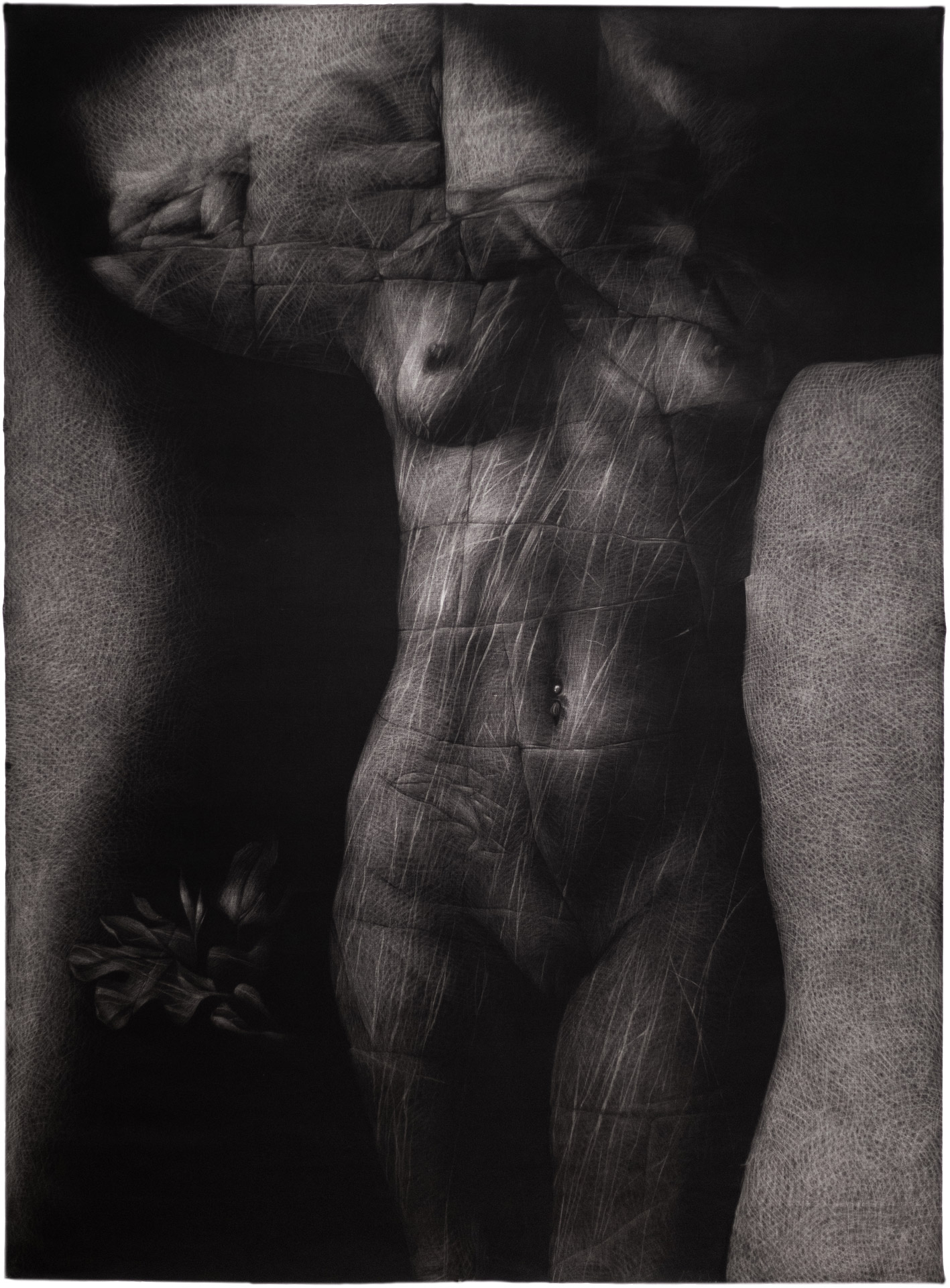 Large charcoal composition on linen canvas, with soft curves and deep shadows. A network of pale lines evokes a sculptural, organic form reminiscent of skin or stone.