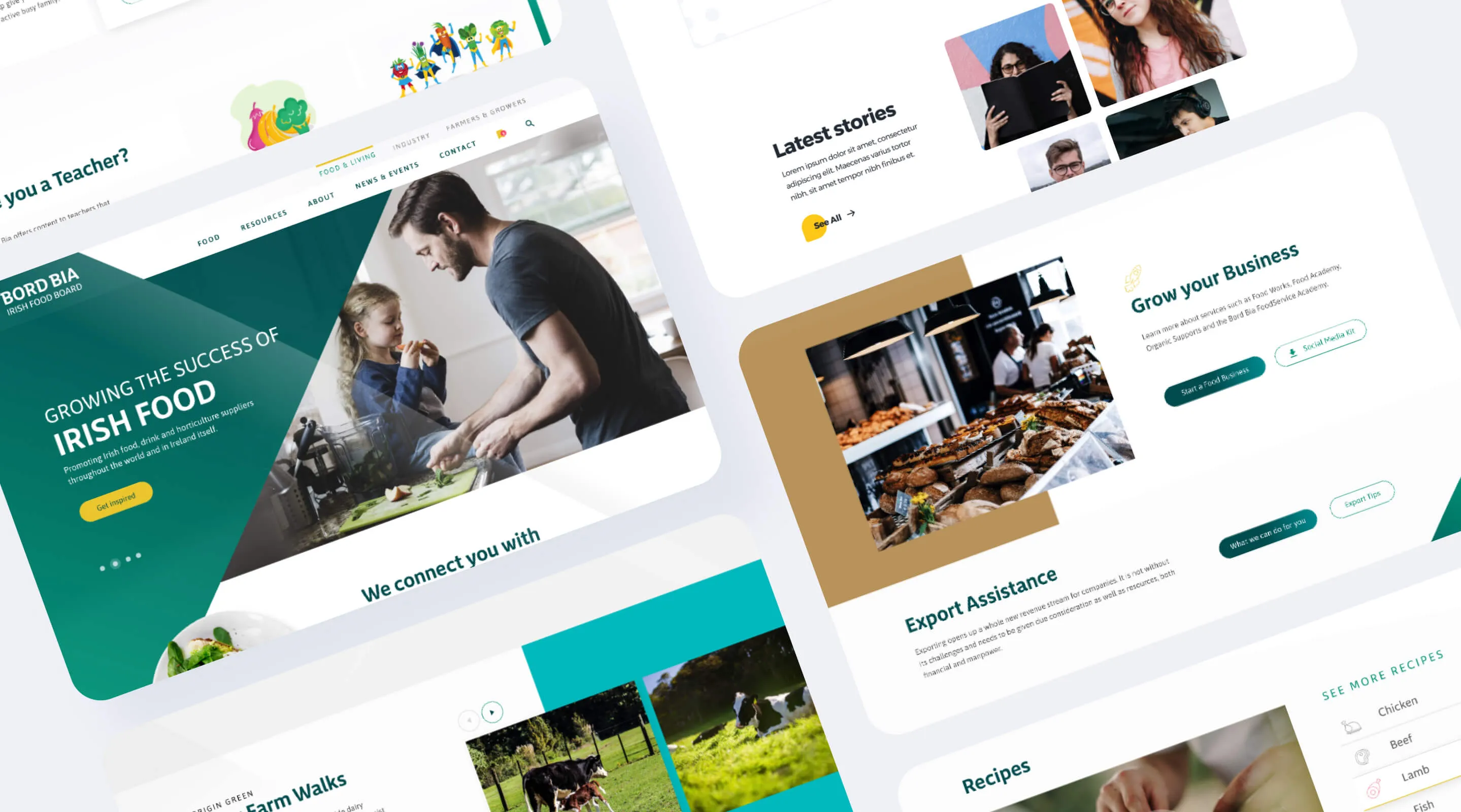 Bord Bia UX and UI redesign