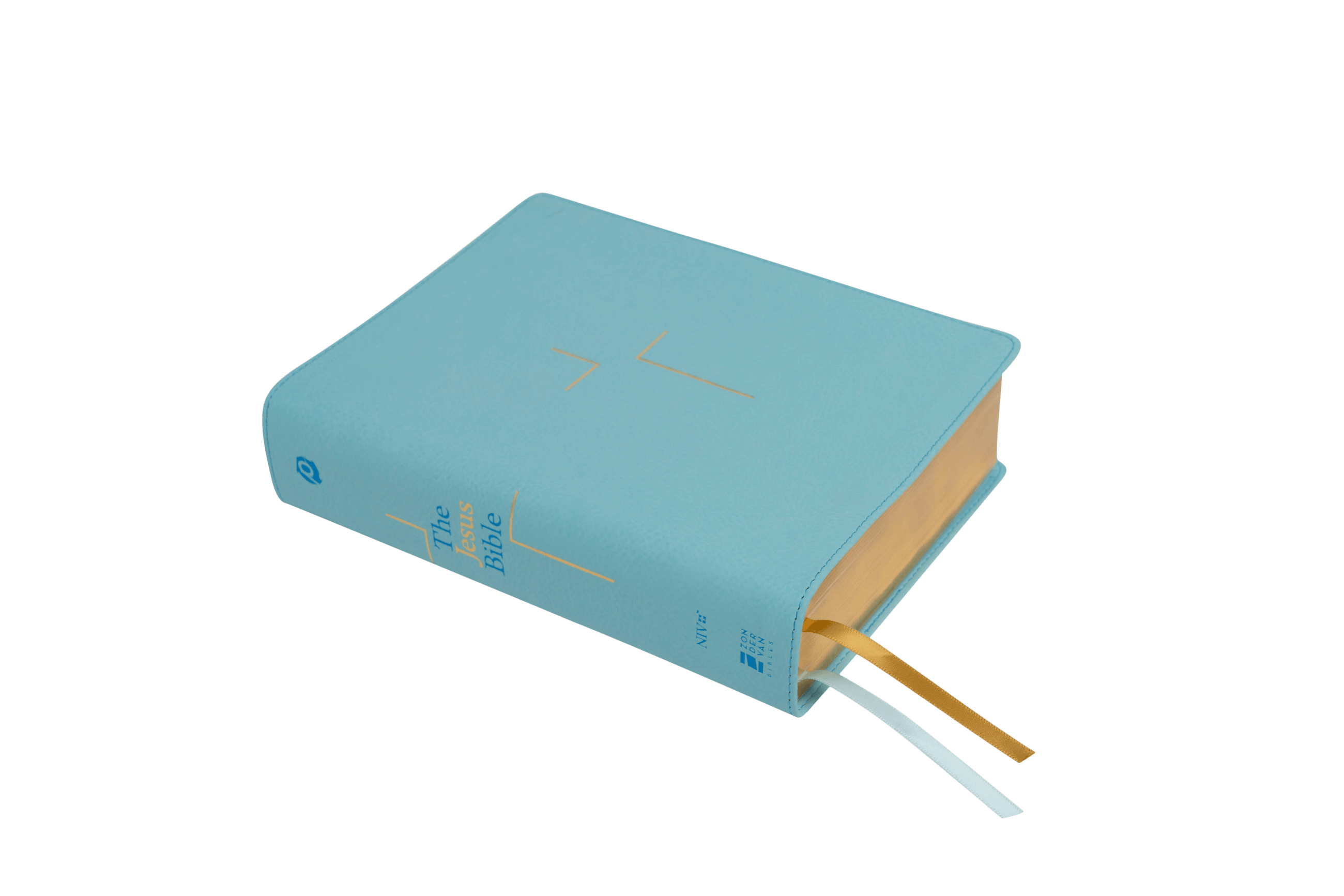 The jesus bible niv blush pink