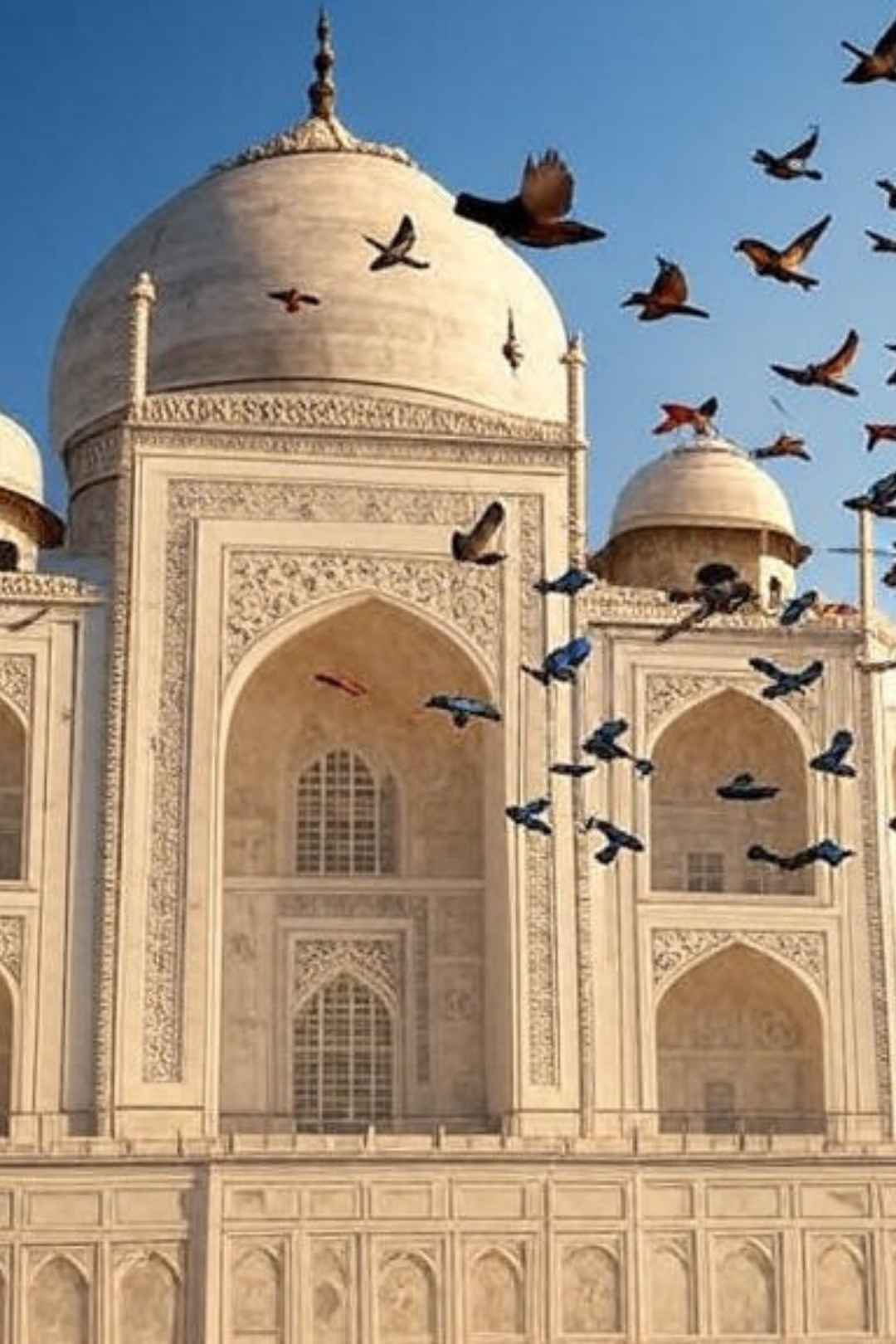 Majestic Taj Mahal Free Stock Photo