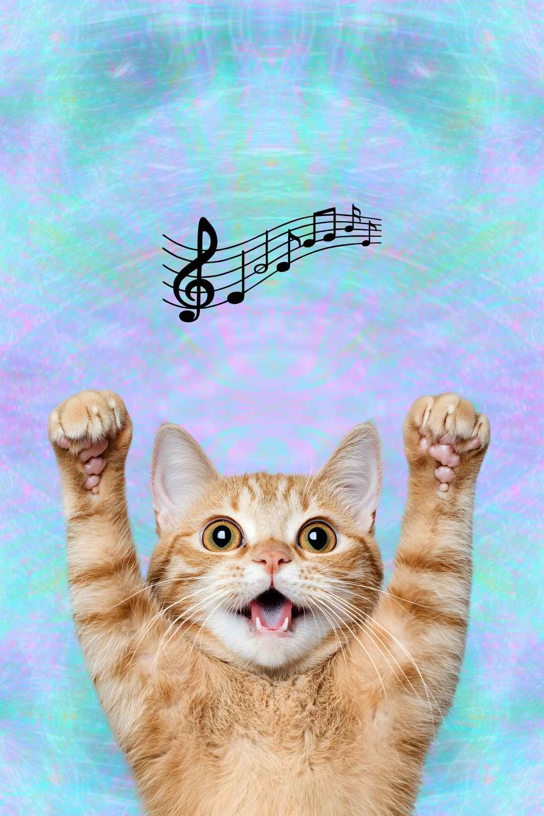 Trance Red Cat Free Music