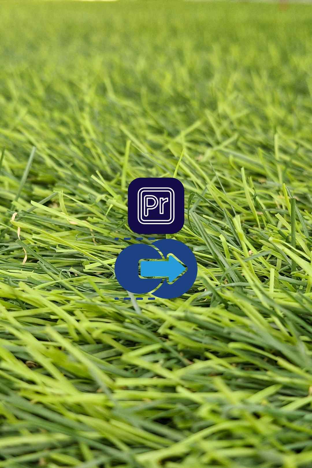 Artificial Turf Transition For Premiere Pro