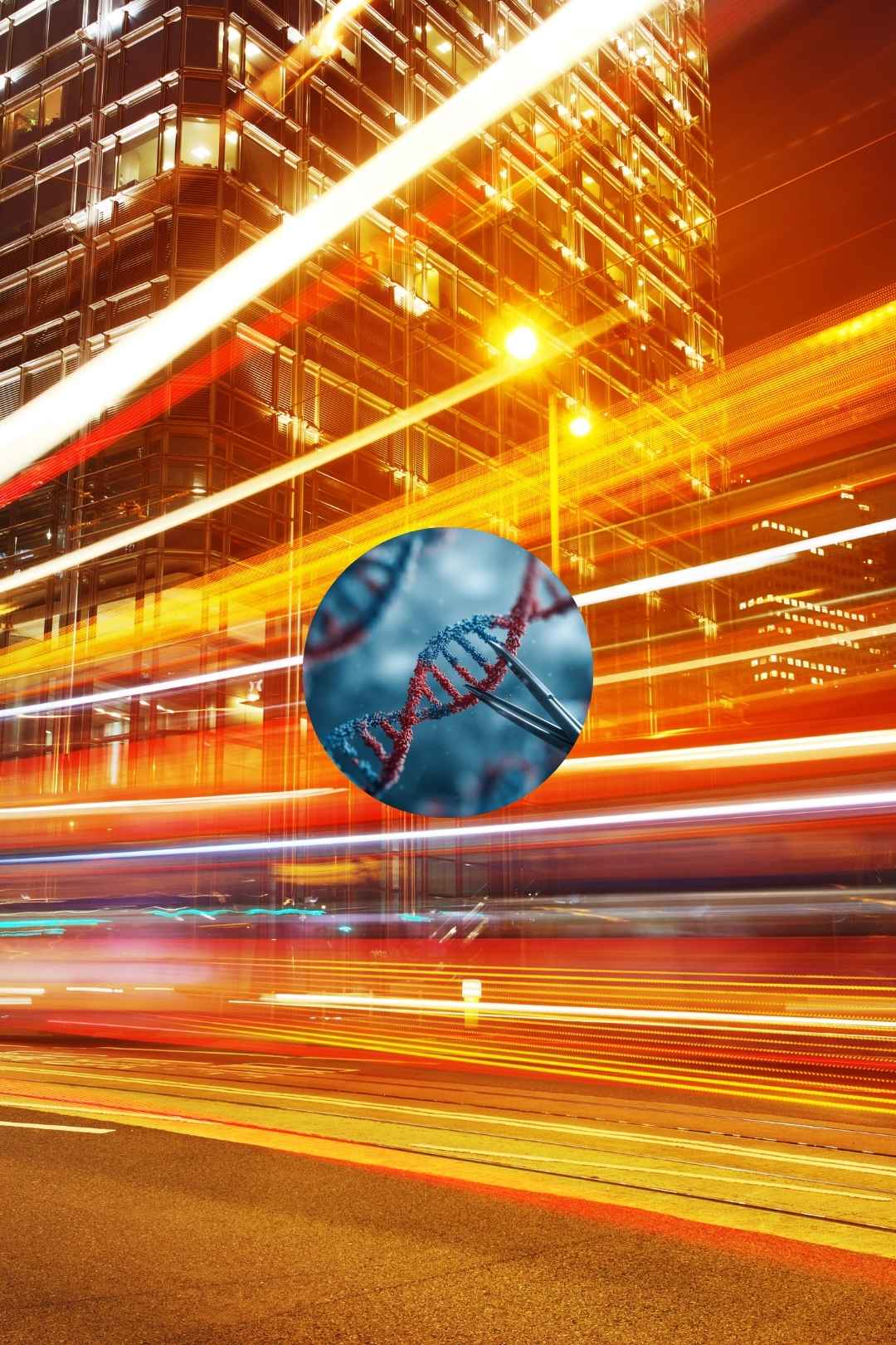 Top Speed Ramp Effects Templates from Envato: Elevate Your Video Edits