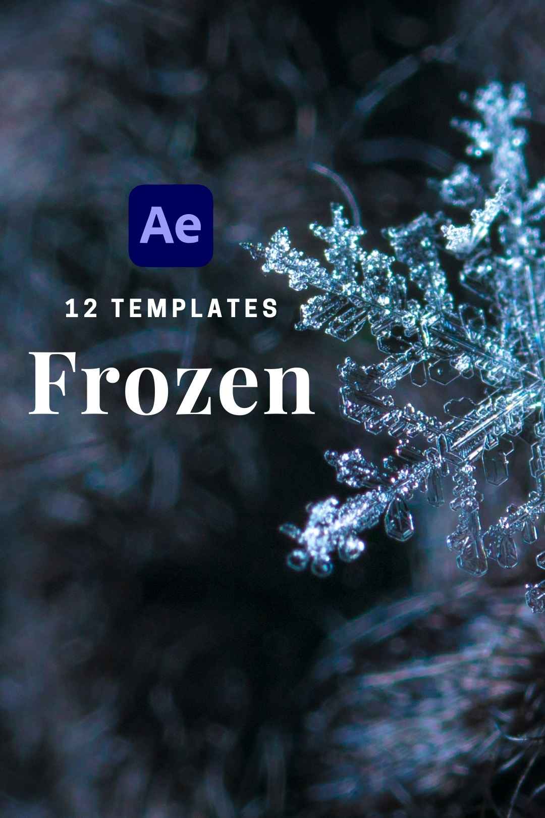 12 Frozen Ice Scenes After Effects Template
