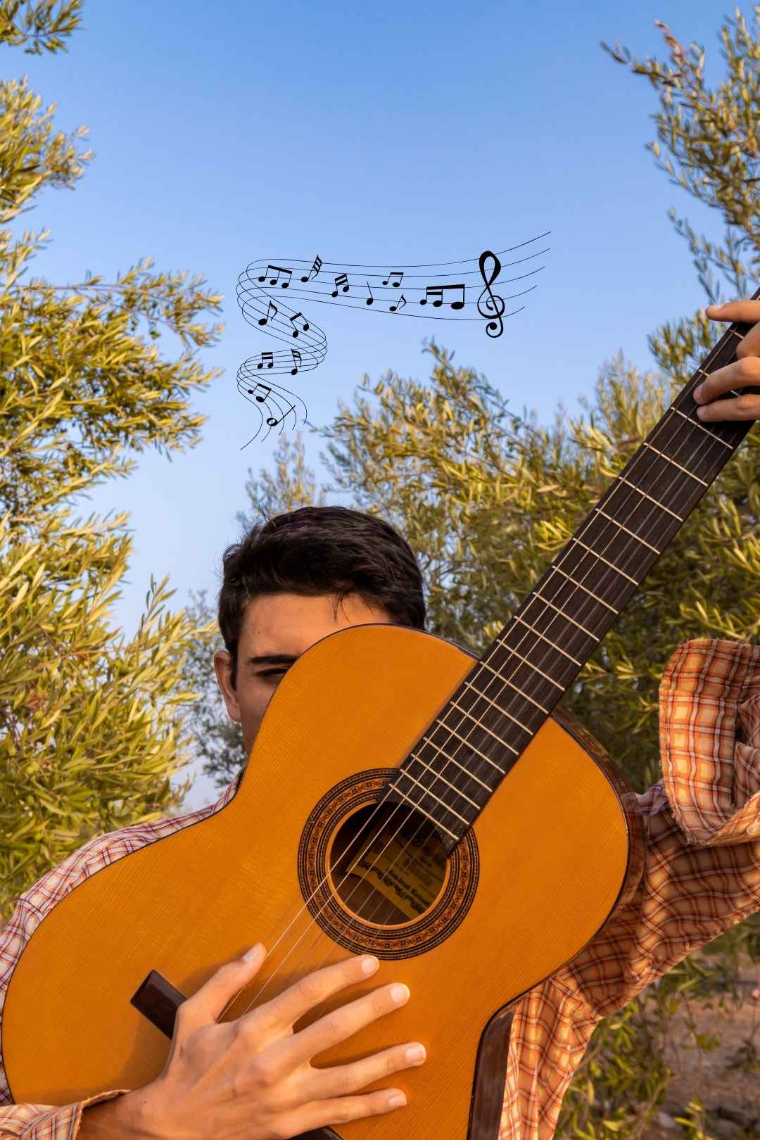 Sunshine Vibes Free Music Track