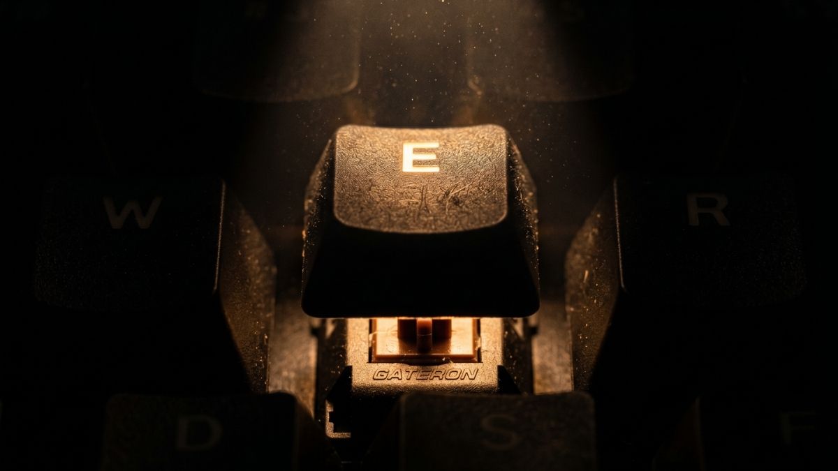 Evato Comprehensive Guide