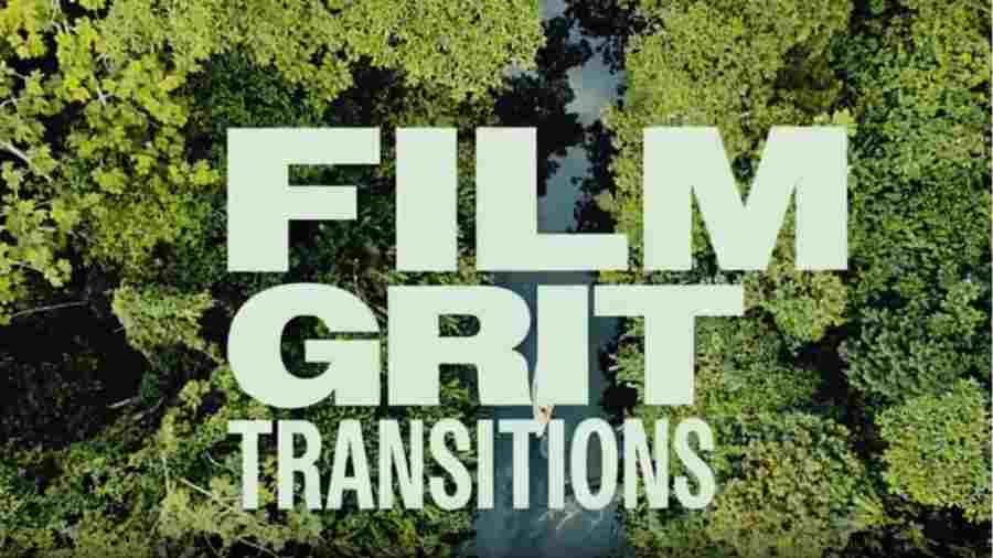 Artlist Film Grit Transitions template