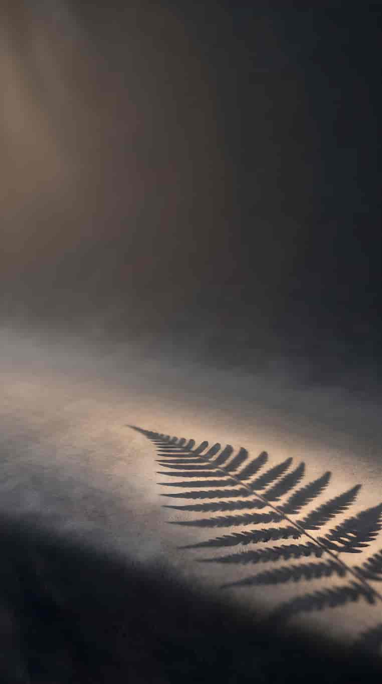 Minimal Dark Warm-Lit Backdrop