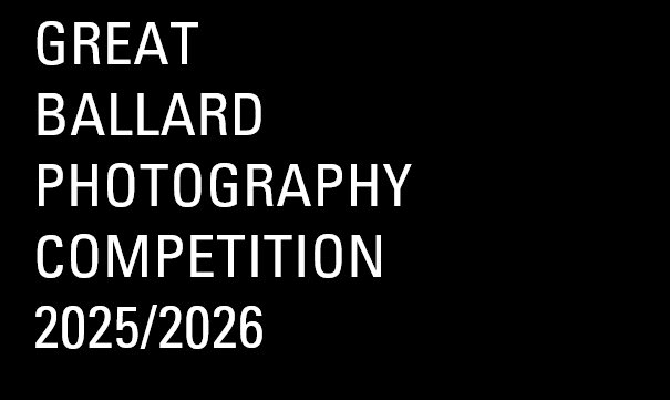 Photo Competition Image