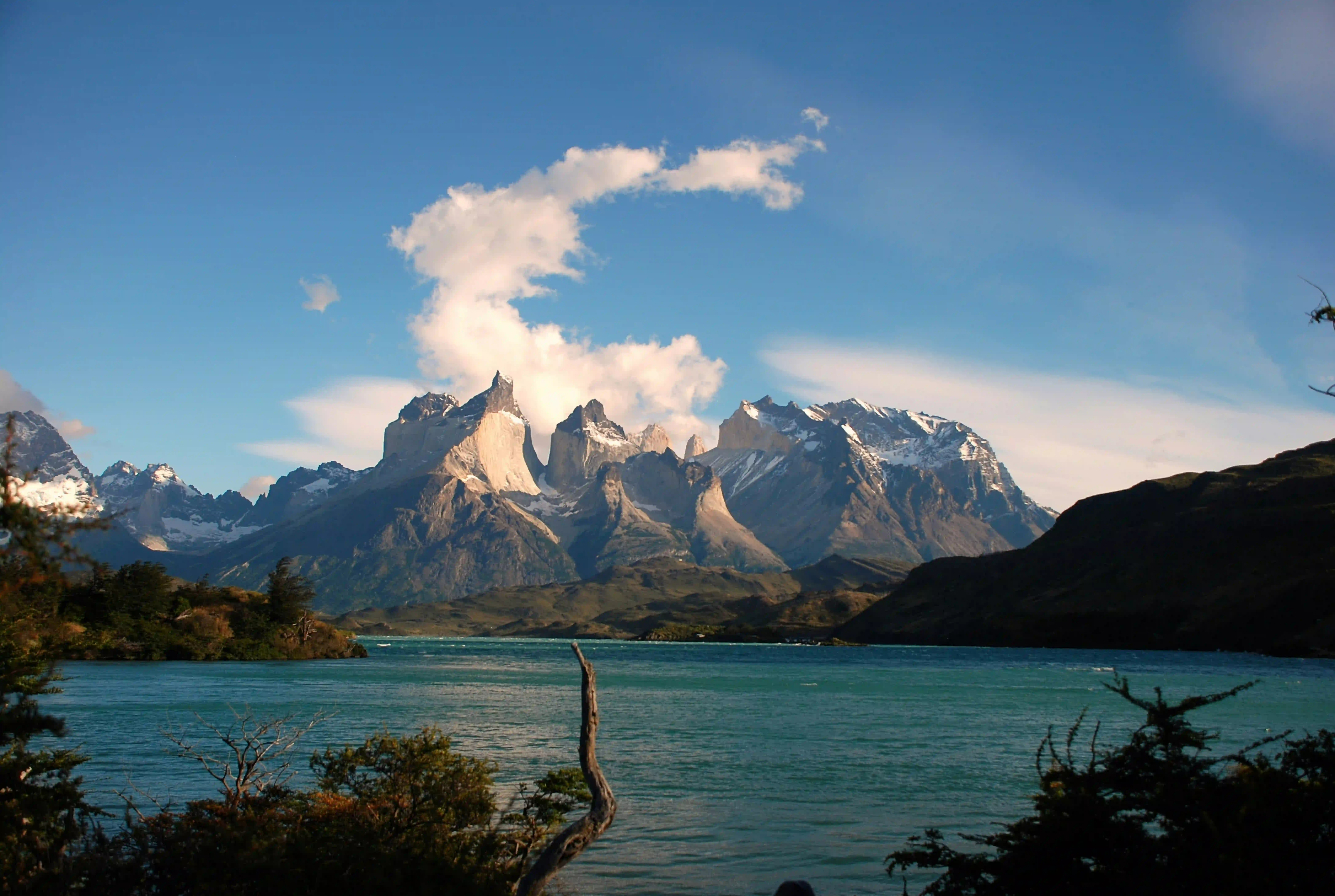 How Patagonia Leads the Way in Global Sustainability