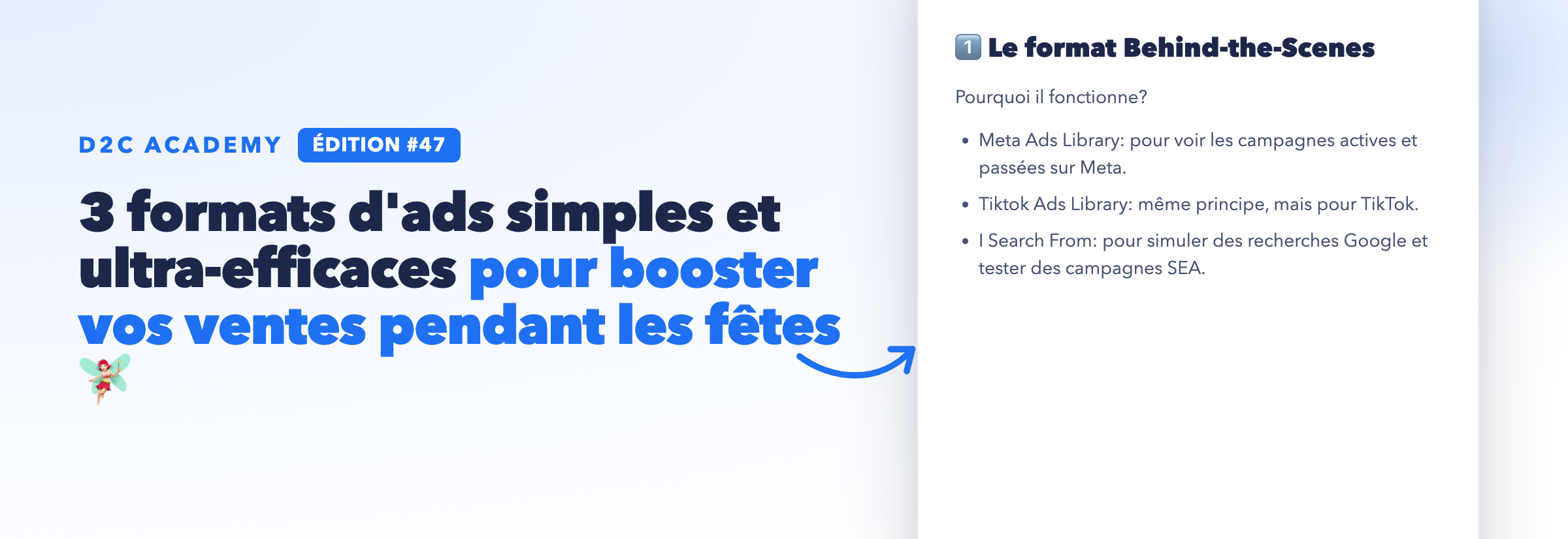 Newsletter #47 - 3 formats d'ads simples et ultra-efficaces pour booster vos ventes pendant les fêtes 🧚🏻♀️