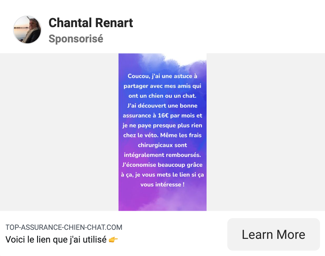 Ejemplo de un anuncio en la cuenta de Chantal Renart patrocinado por una marca de seguros para mascotas.