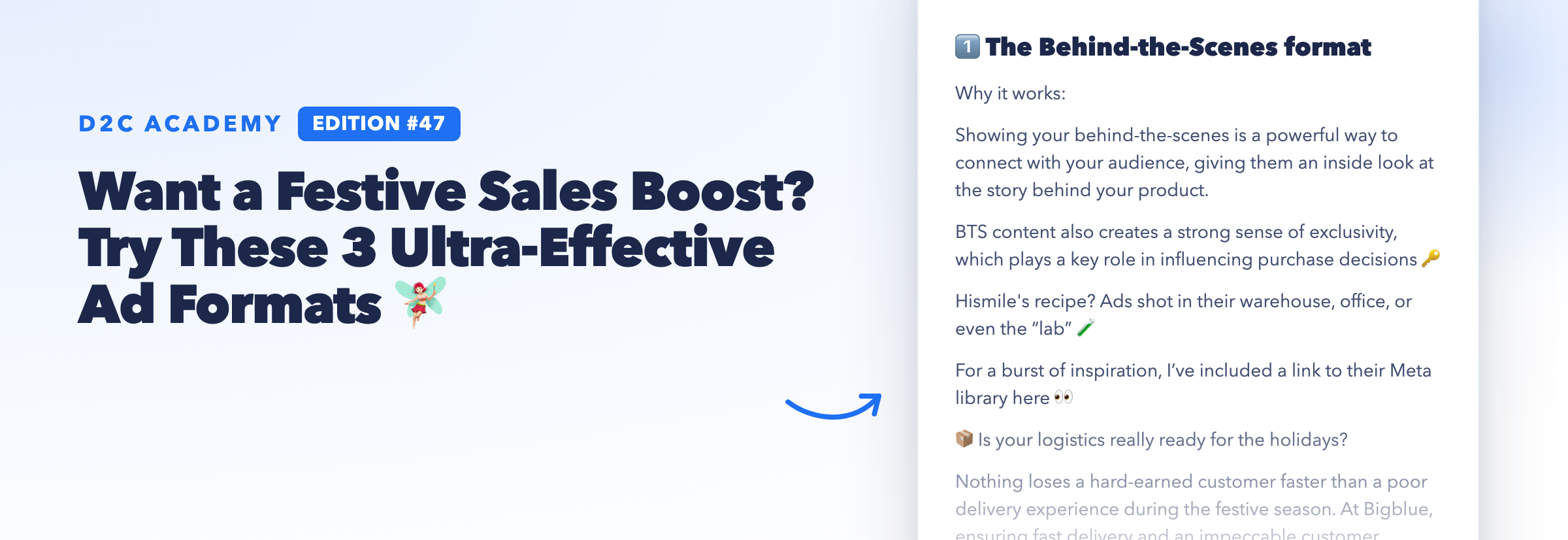 Newsletter #47 - Want a Festive Sales Boost? Try These 3 Ultra-Effective Ad Formats 🧚🏻‍♀️