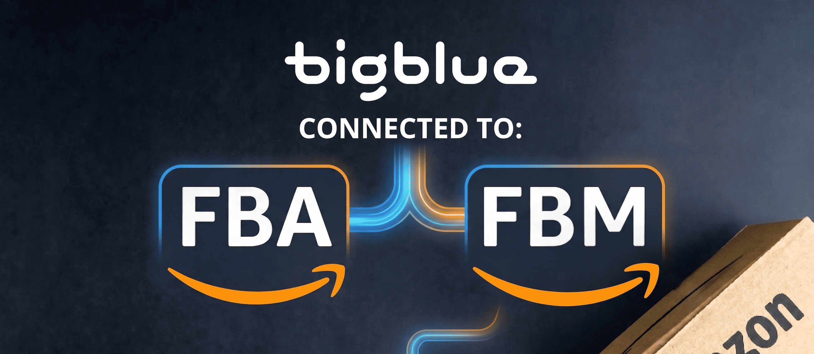 Tarifs de stockage Bigblue : m³, palettes et prorata journalier (2026)