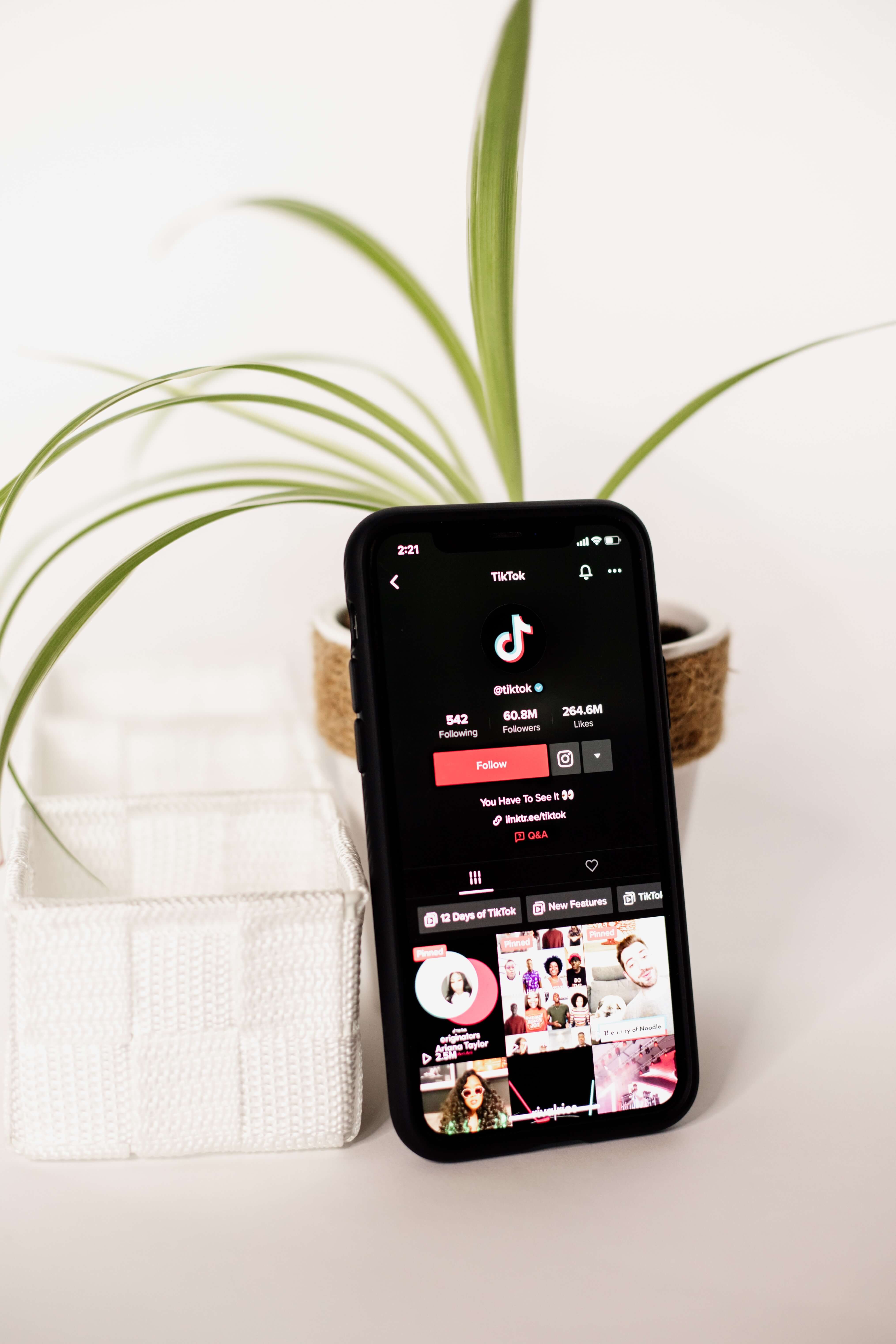 4 Influencer Content Secrets You Need to Know 