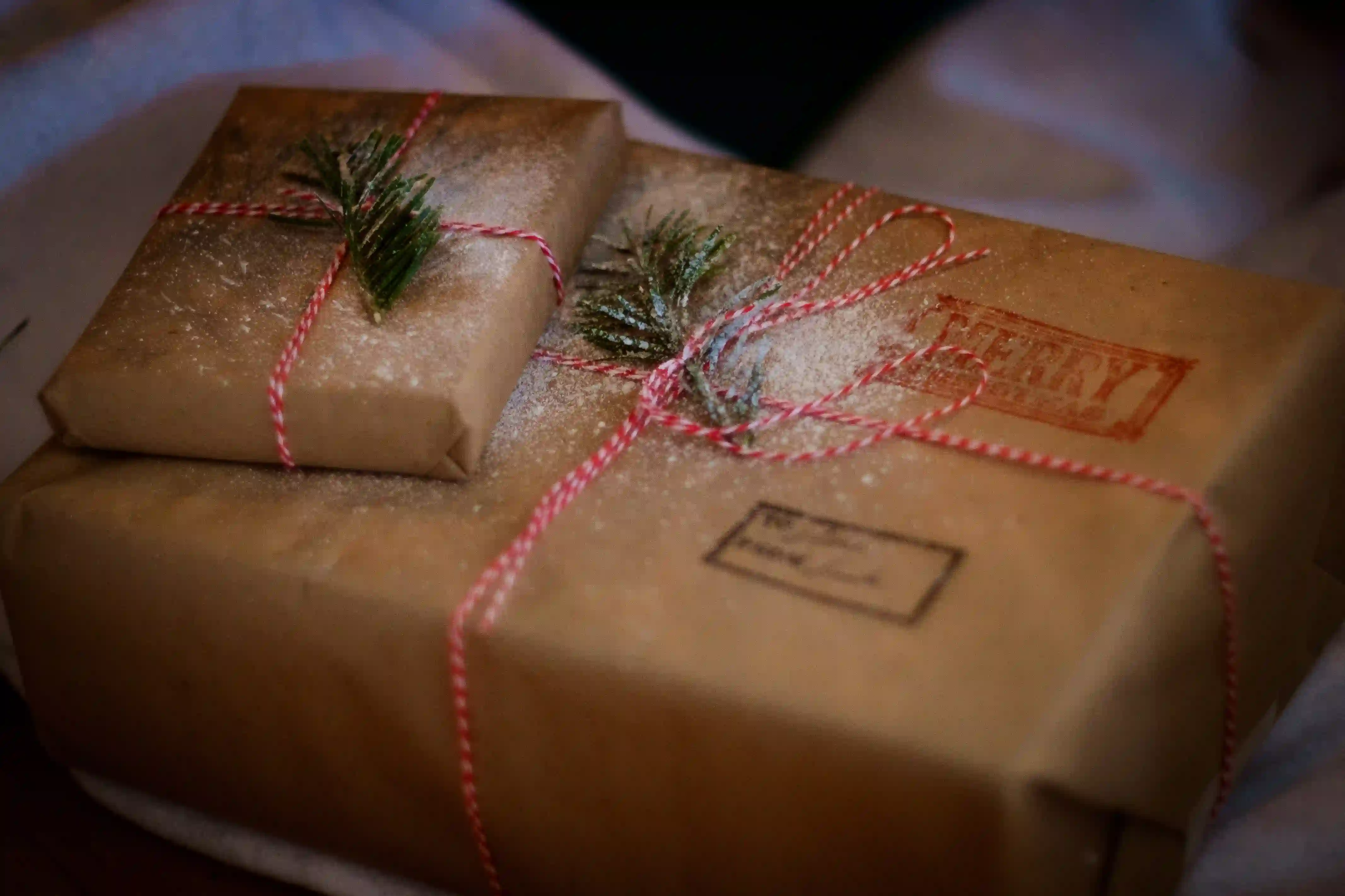 How To Optimise Your Christmas Logistics - 6 Best Tips