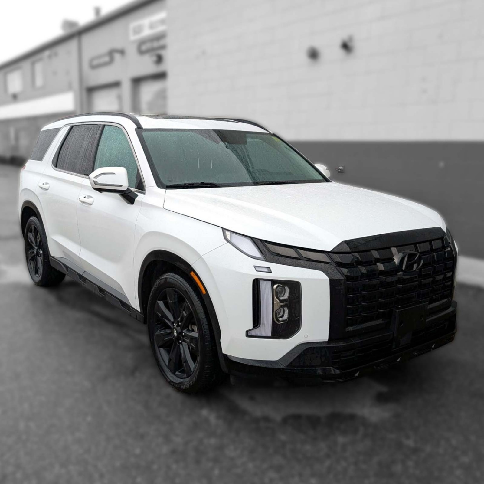 2025 Hyundai Palisade — photo 3
