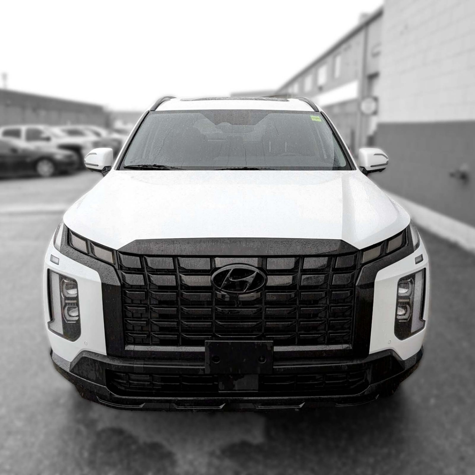 2025 Hyundai Palisade — photo 4