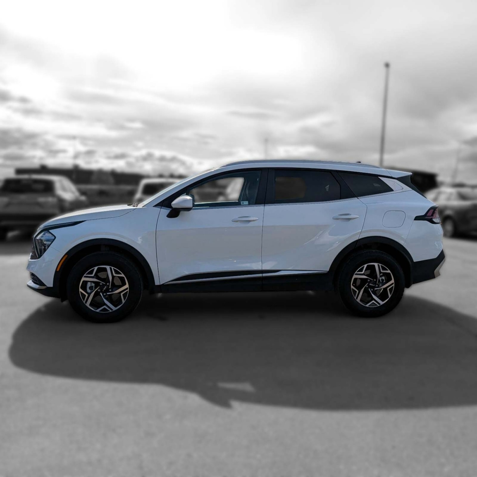 2025 Kia Sportage — photo 5