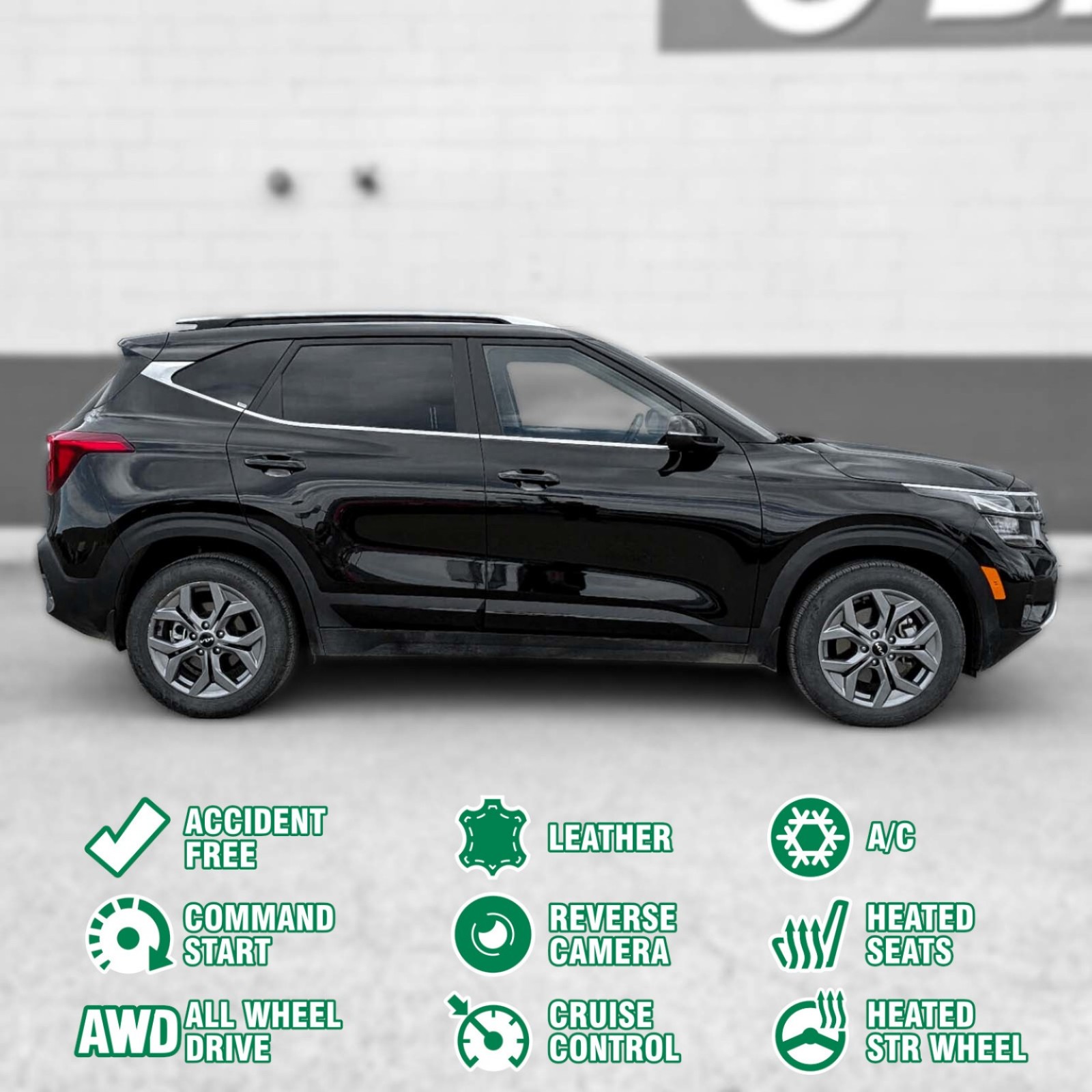 2025 Kia Seltos — photo 2