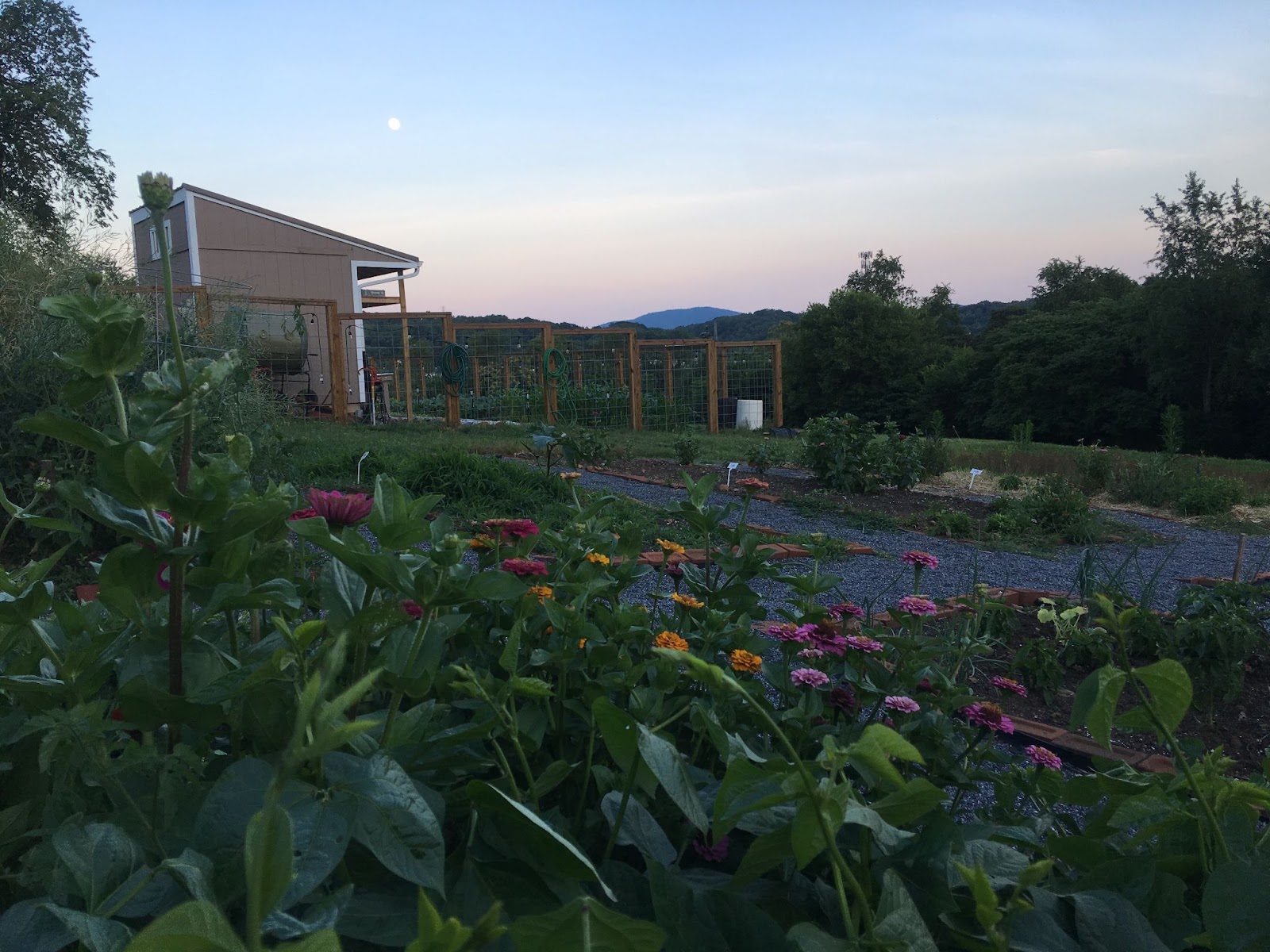 Campbell Ave Community Garden