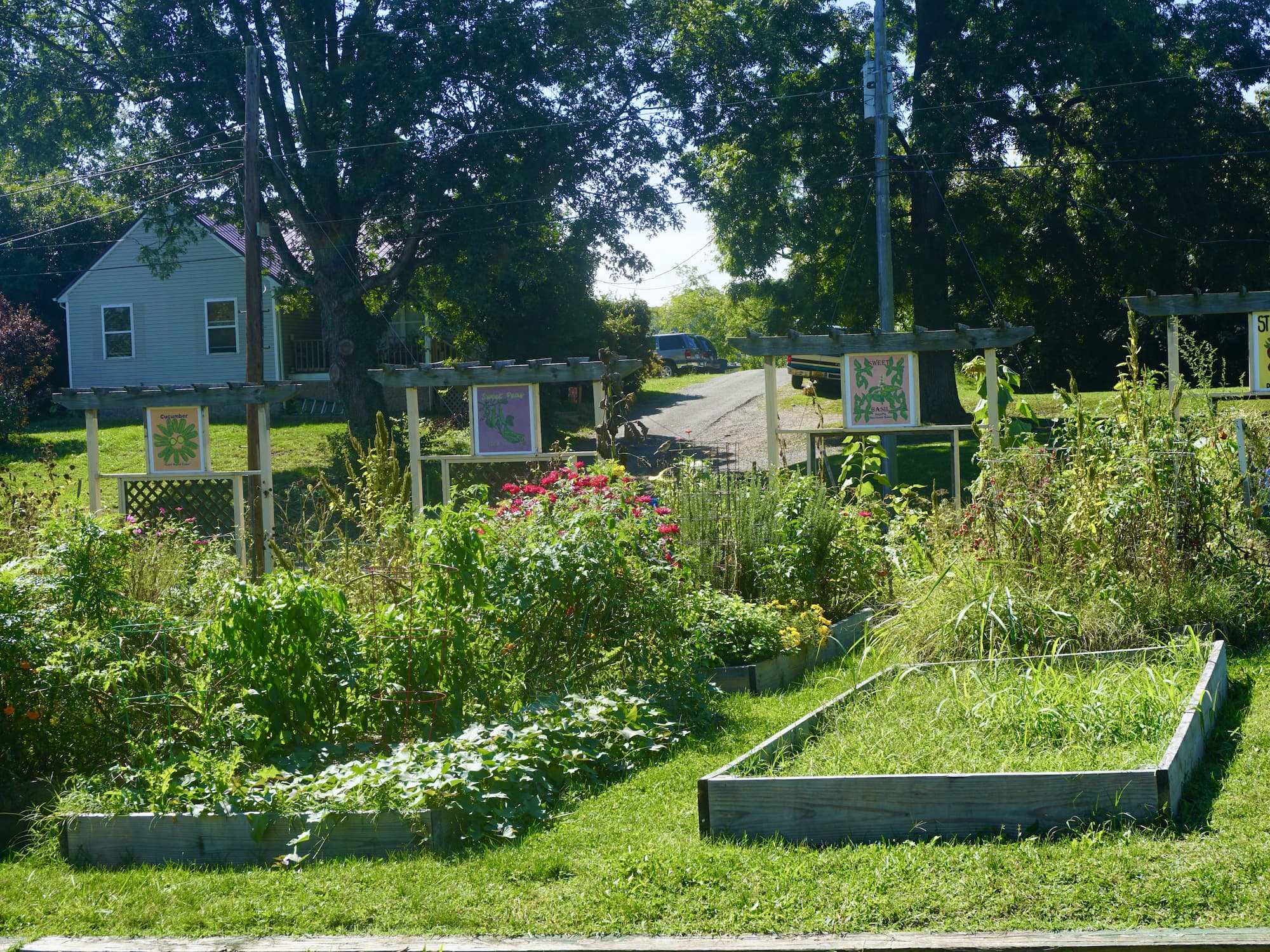 community garden