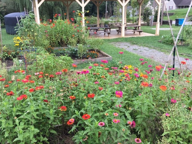 Mountain View Community Garden