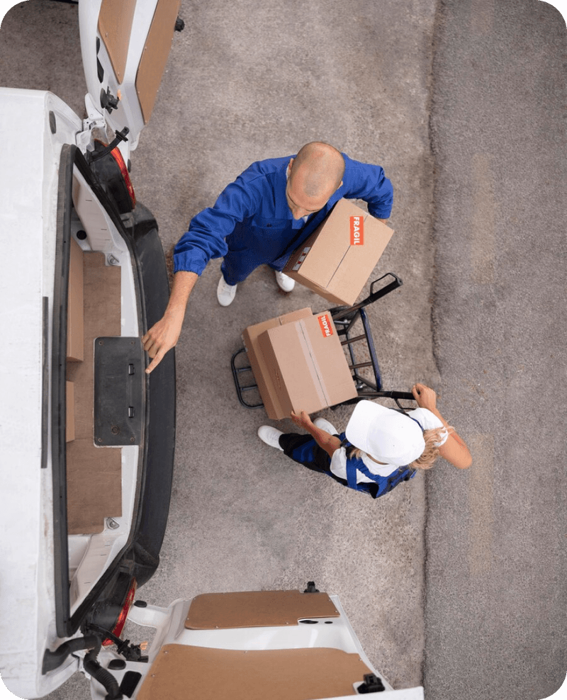 WeShip | Envíos de Paquetería al Mejor Precio con FedEx, Estafeta, DHL ...