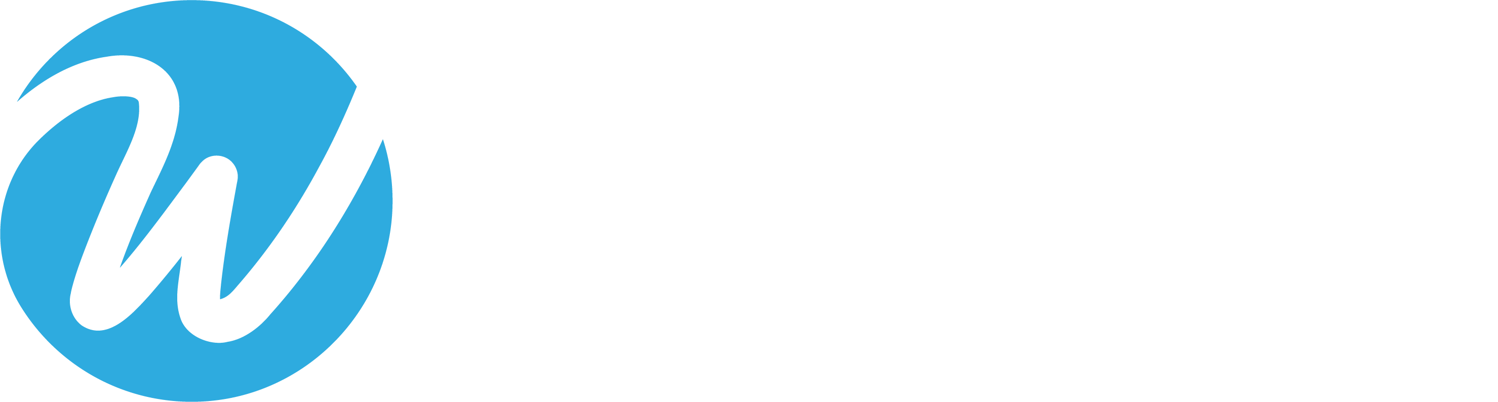 WINCLOUD Logo