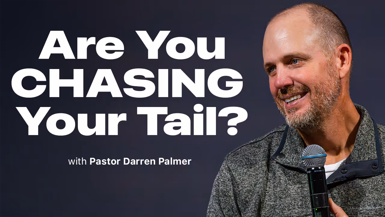Are You Chasing Your Tail?