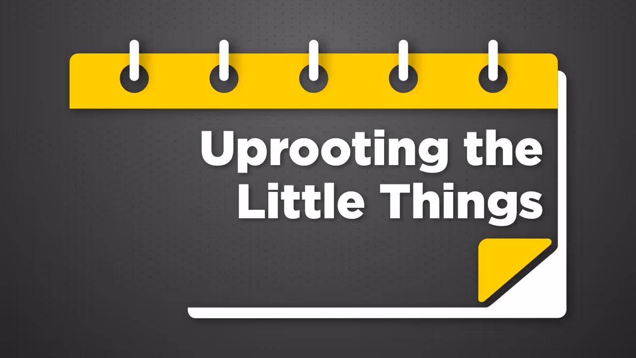 True loyalty isn’t about grand gestures—it’s about a heart fully devoted to God. Catch the small distractions early and let God show Himself strong on your behalf.