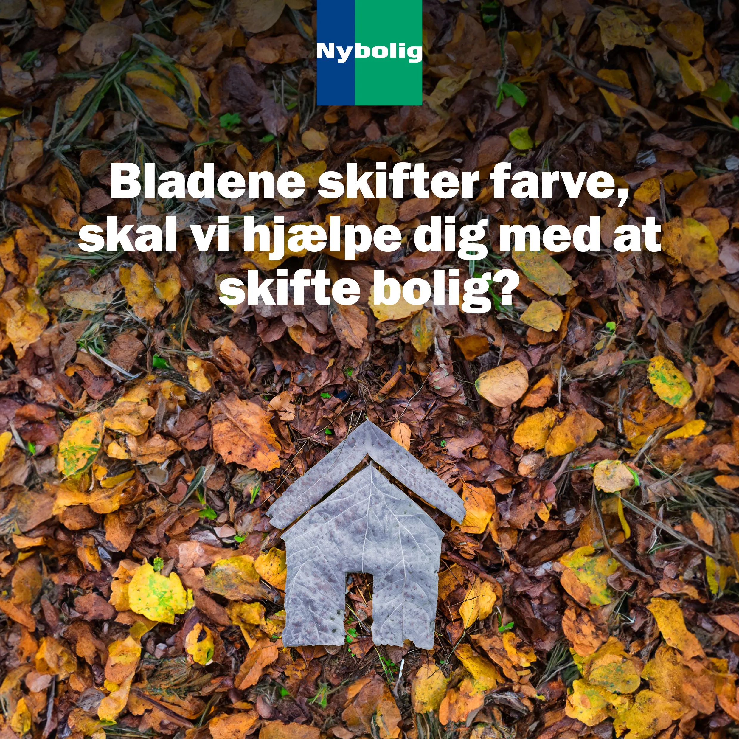 Nybolig - efterår