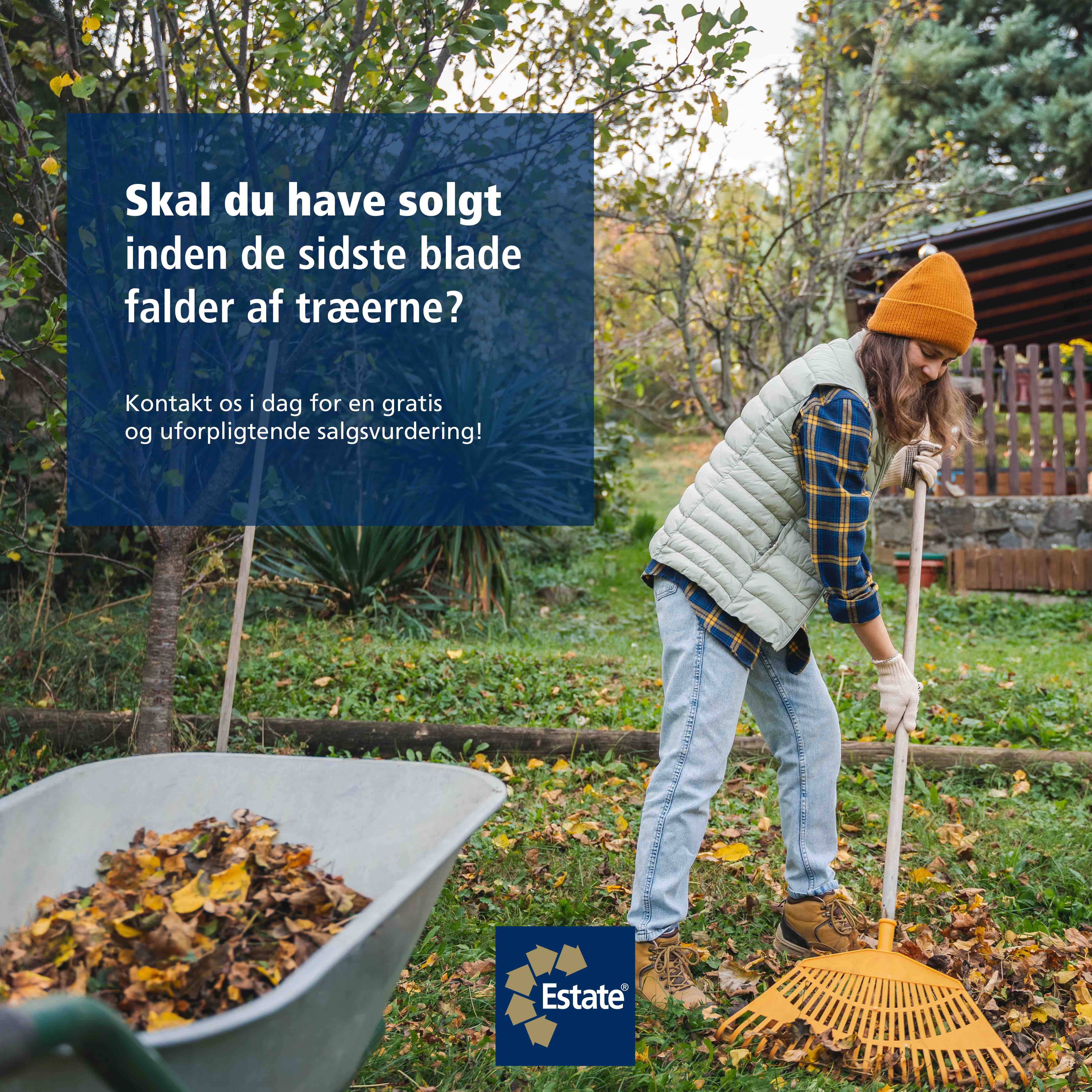 Estate - novemberopslag