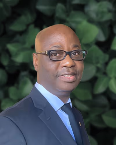 Dr. Francis Gadigbe - Ed.D., LMFTA., MHP