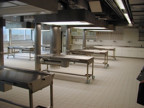 Medizinisch-Theoretisches Zentrum der Technischen Universität Dresden