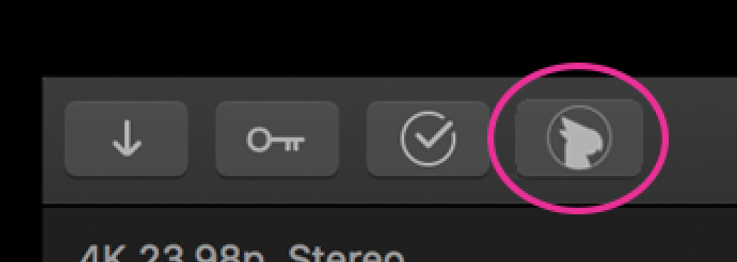 Simon Says extension icon in FCPX