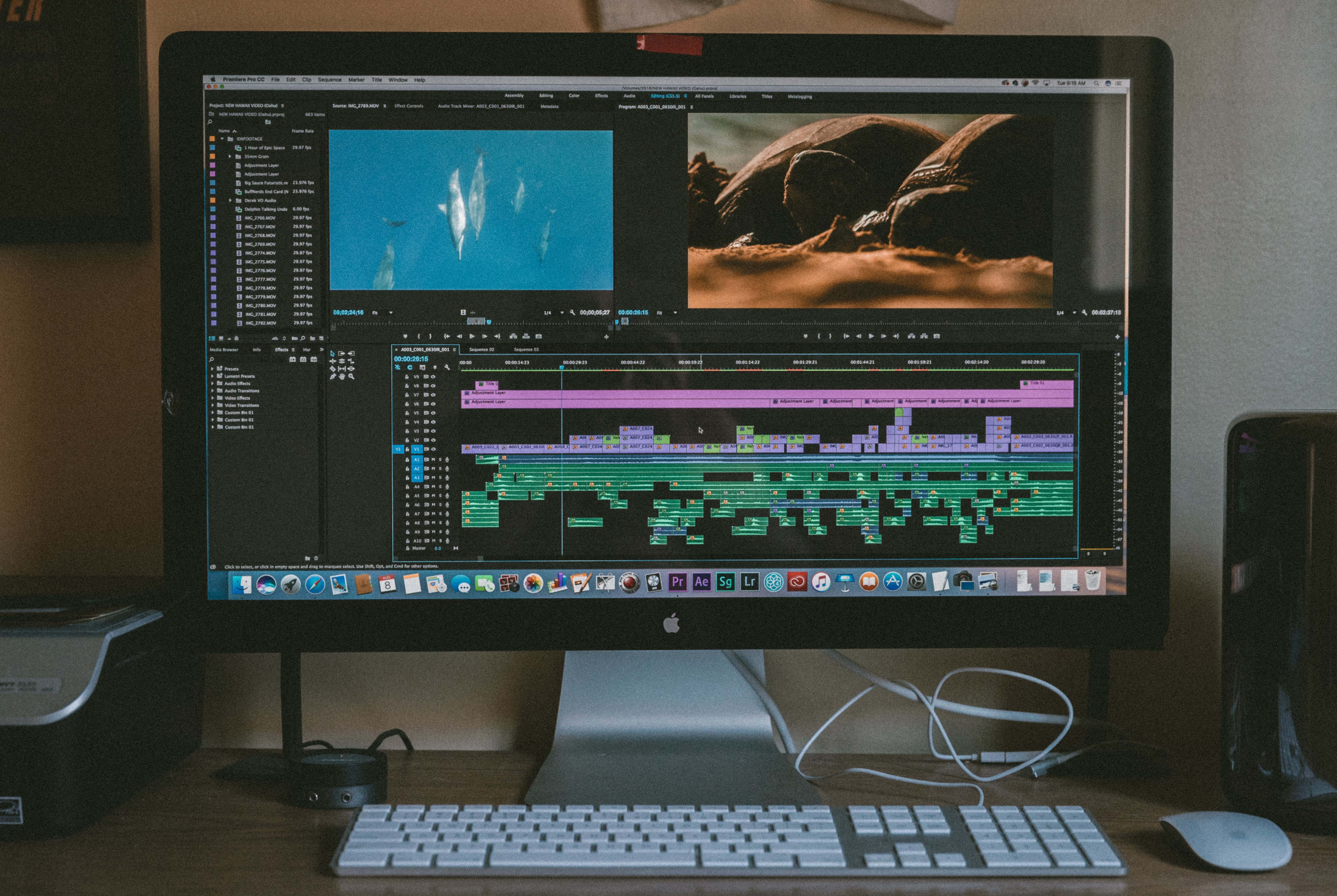 How to Freeze Frame in Premiere Pro