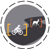 Icon showing a cyclist and a dog within colored detection brackets on a gray circular background.
