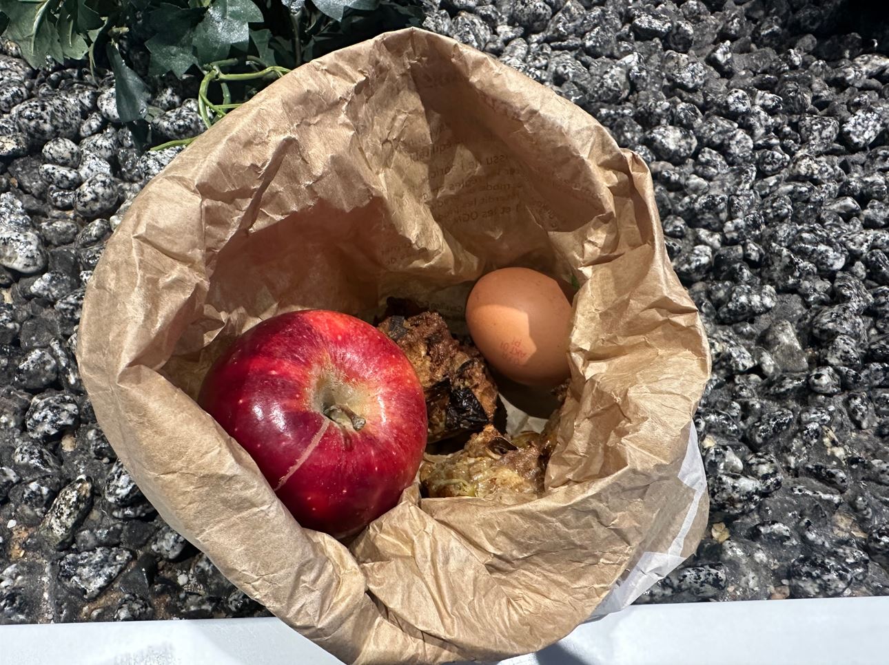 Selbstgemachtes Lunchpaket für den Flughafen mit Ei, Apfel und Gemüse-Muffins