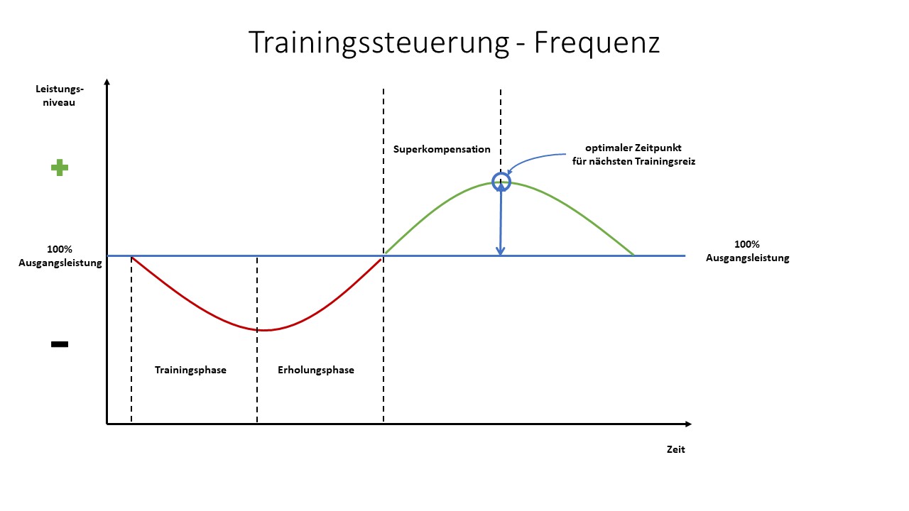 Grafik zur Superkompensation mit optimalem Zeitpunkt für den nächsten Trainingsreiz nach der Regeneration
