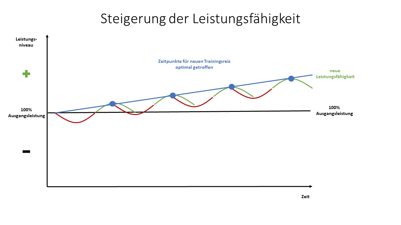 Grafik mit mehreren optimal gesetzten Trainingsreizen, die zu einer steigenden Leistungsfähigkeit führen