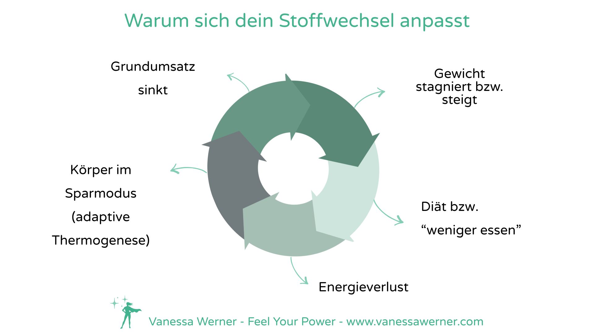 Grafik zur adaptiven Thermogenese: Wie wiederholte Diäten den Grundumsatz beeinflussen können.