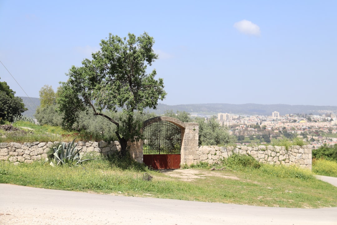 a gate in the middle of a field with a city in the background