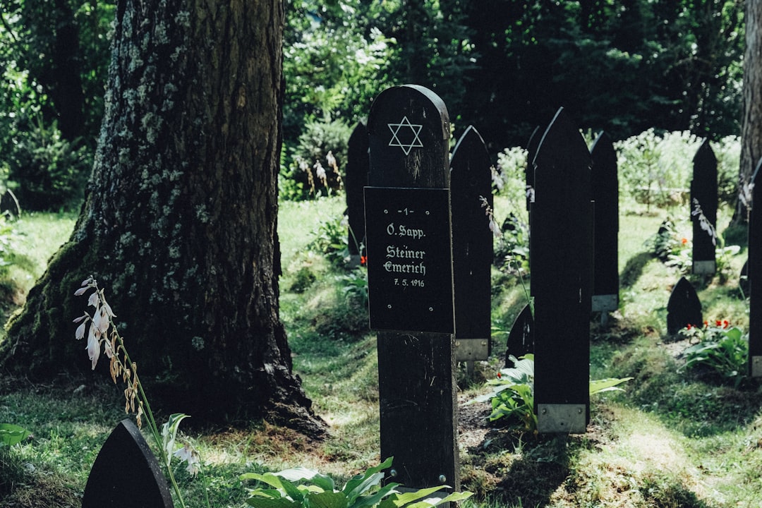 Jewish gravestones in a forest cemetery.
